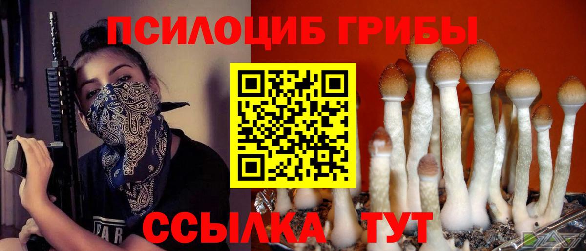 Псилоцибиновые грибы ЛСД Будённовск